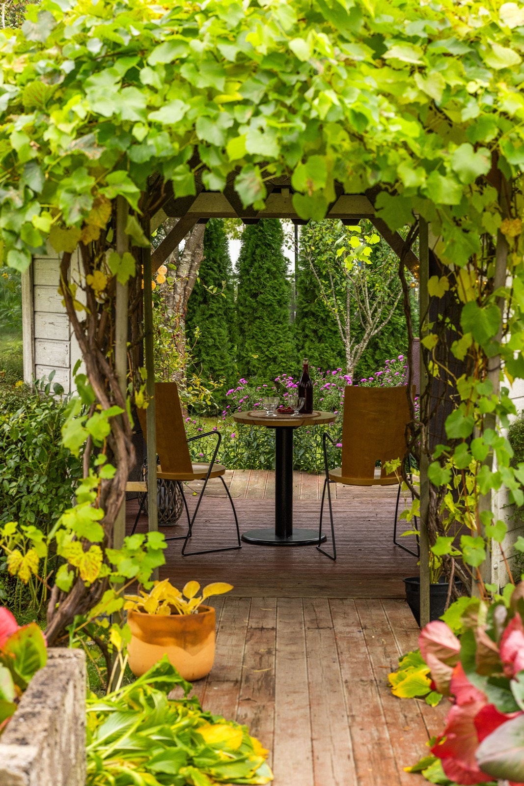 Lysthus i hagen Galleribilde