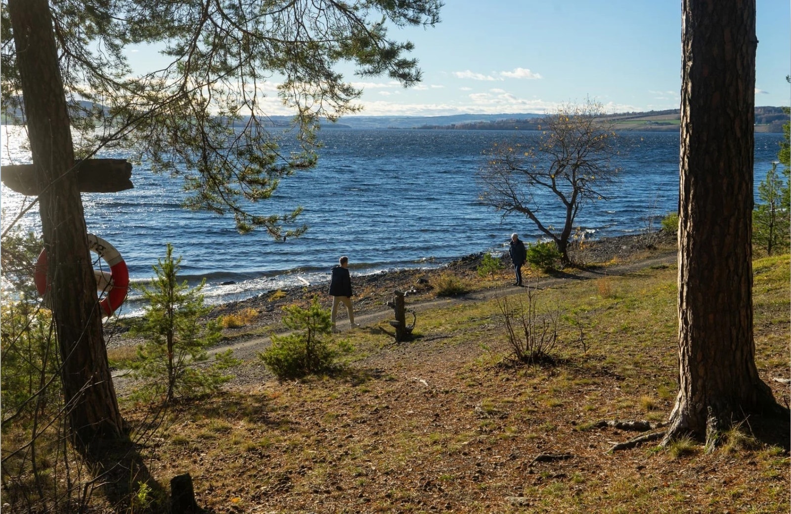 Hamar har kjempefin strandsone Galleribilde