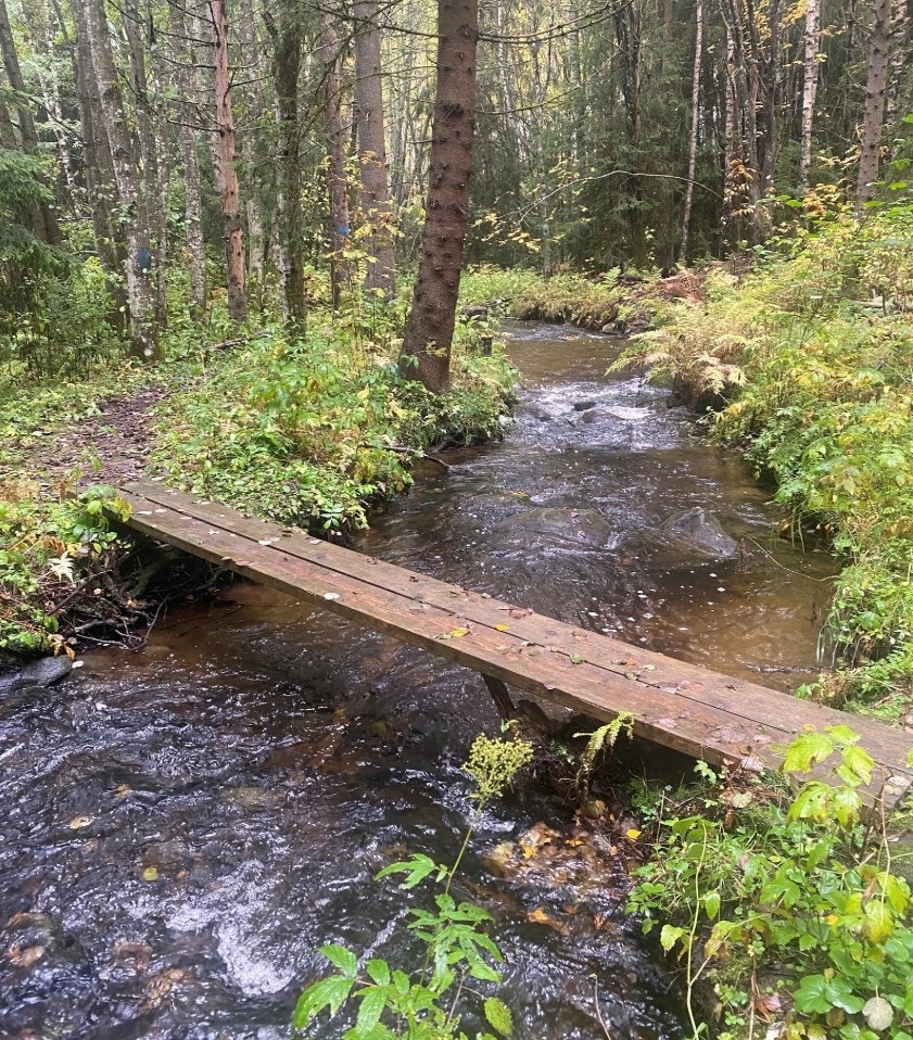 Turmuligheter i nærområdet Galleribilde
