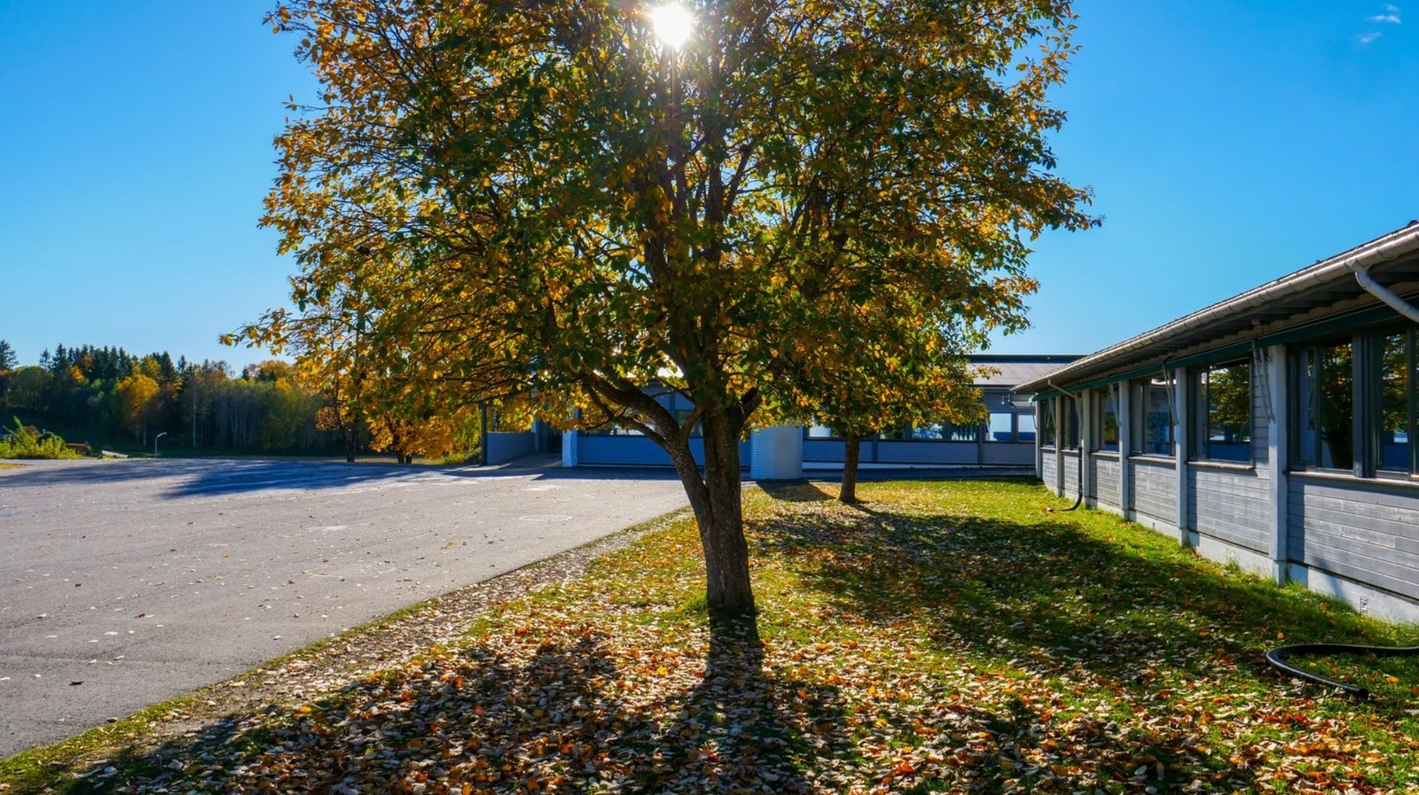 Ingeberg skole er rett i nærheten, ny planovergang over Gåsbuvegen gir en trygg skolevei Galleribilde