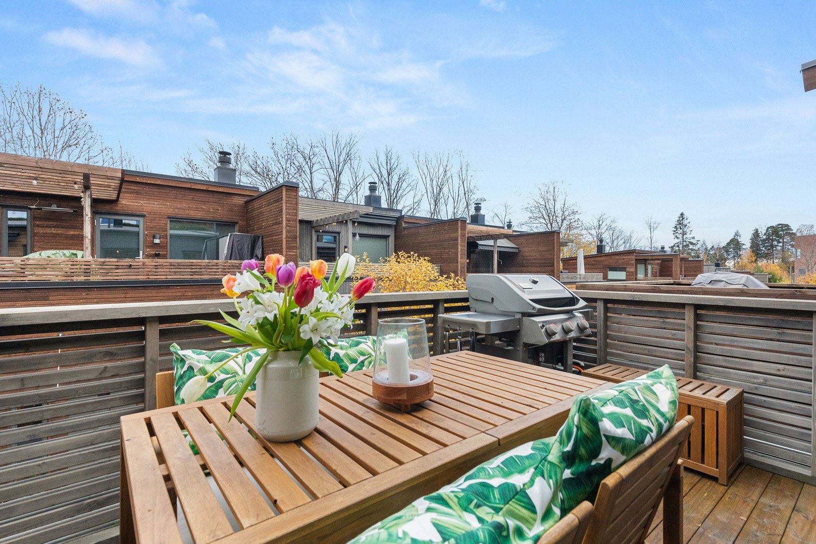 Solrik østvendt terrasse. Galleribilde
