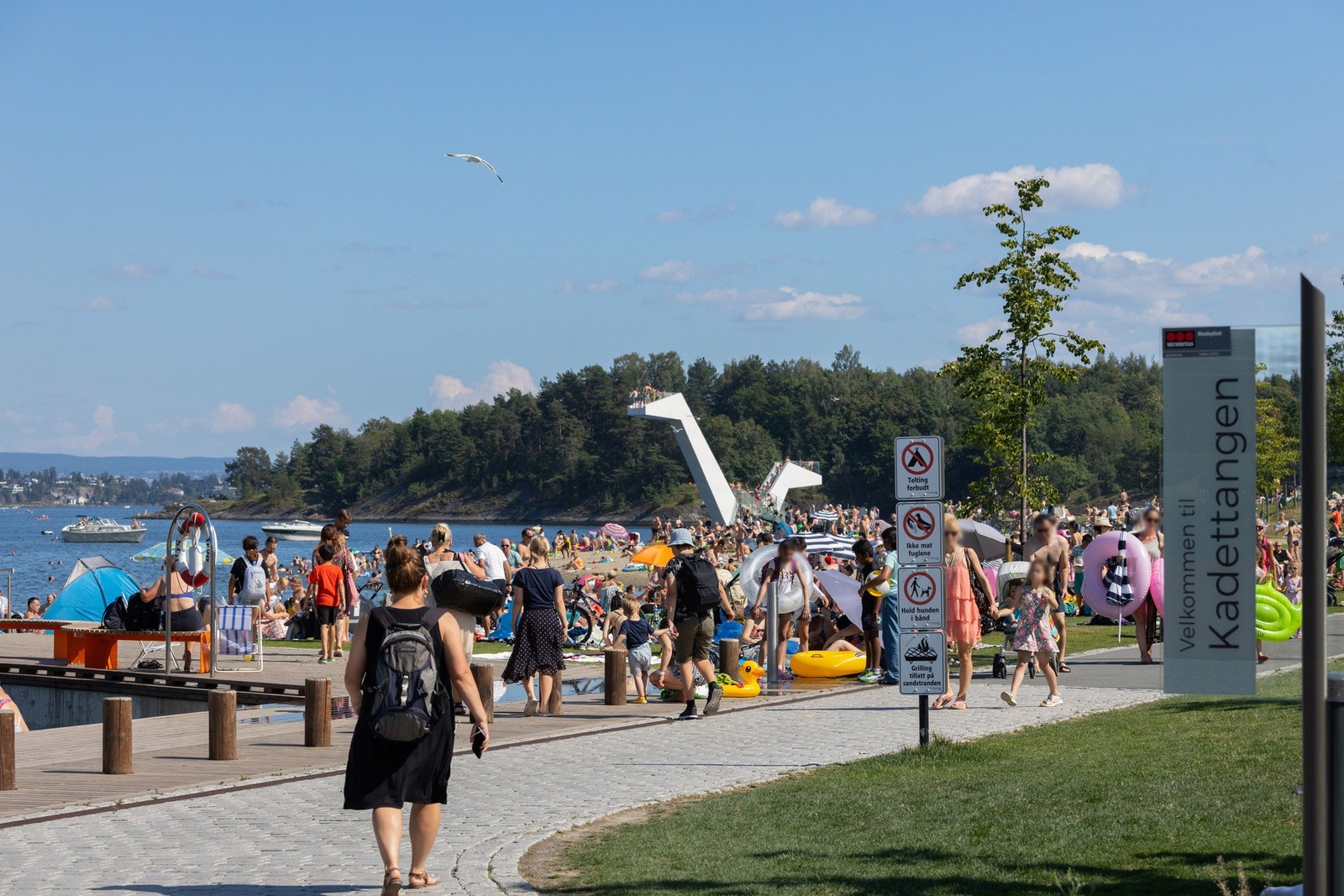 Kadettangen i Sandvika med badeplass. Galleribilde