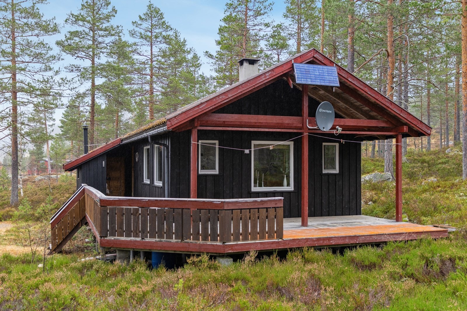 Naturtomt, kjørevei helt frem Galleribilde