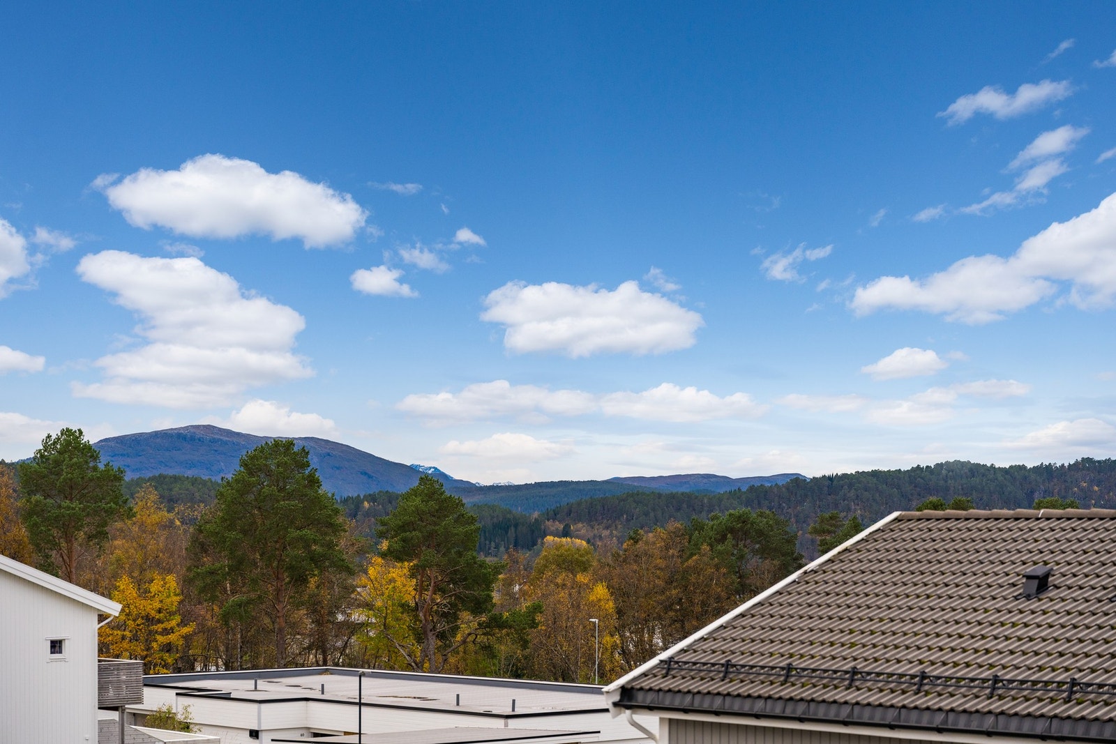 Utsikt mot sørvest. Galleribilde