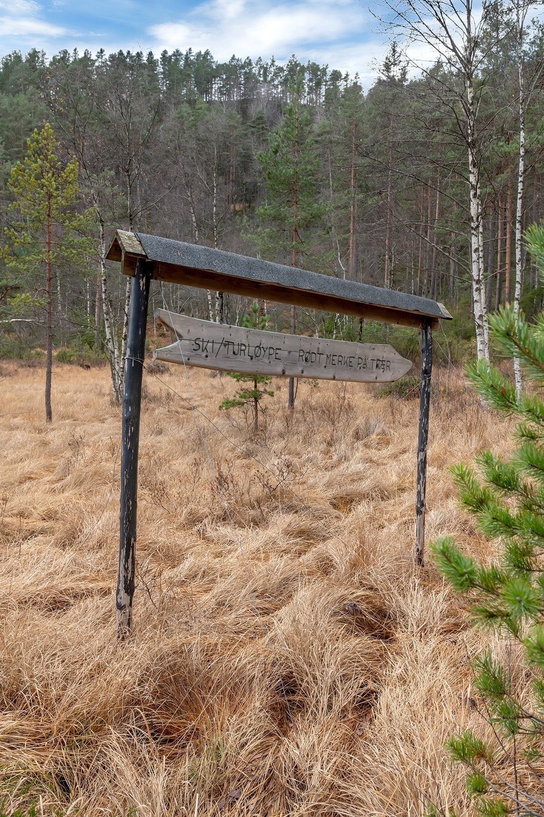Flere fine turløyper i området Galleribilde