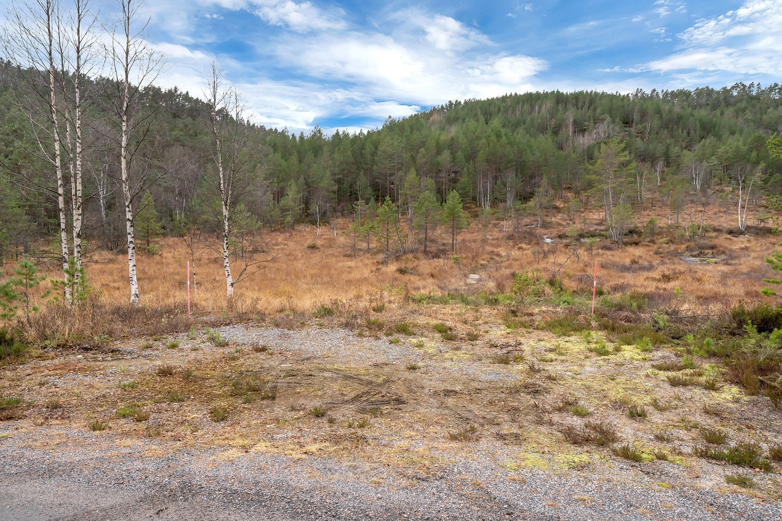 Sti opp til hytta Galleribilde