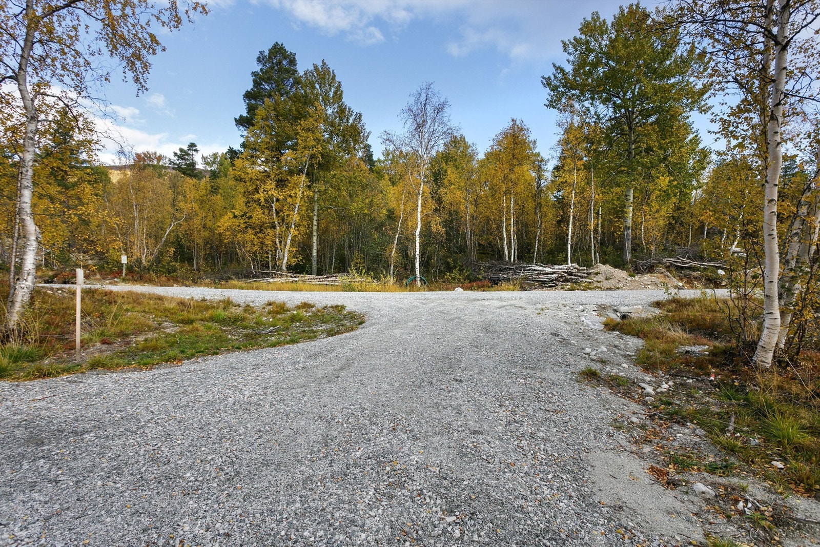 Adkomstvei inn fra hyttefeltet Galleribilde