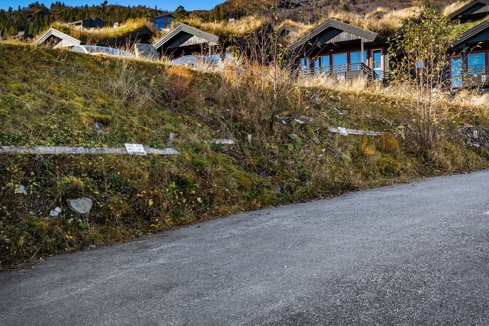 Biloppstillingsplass Galleribilde