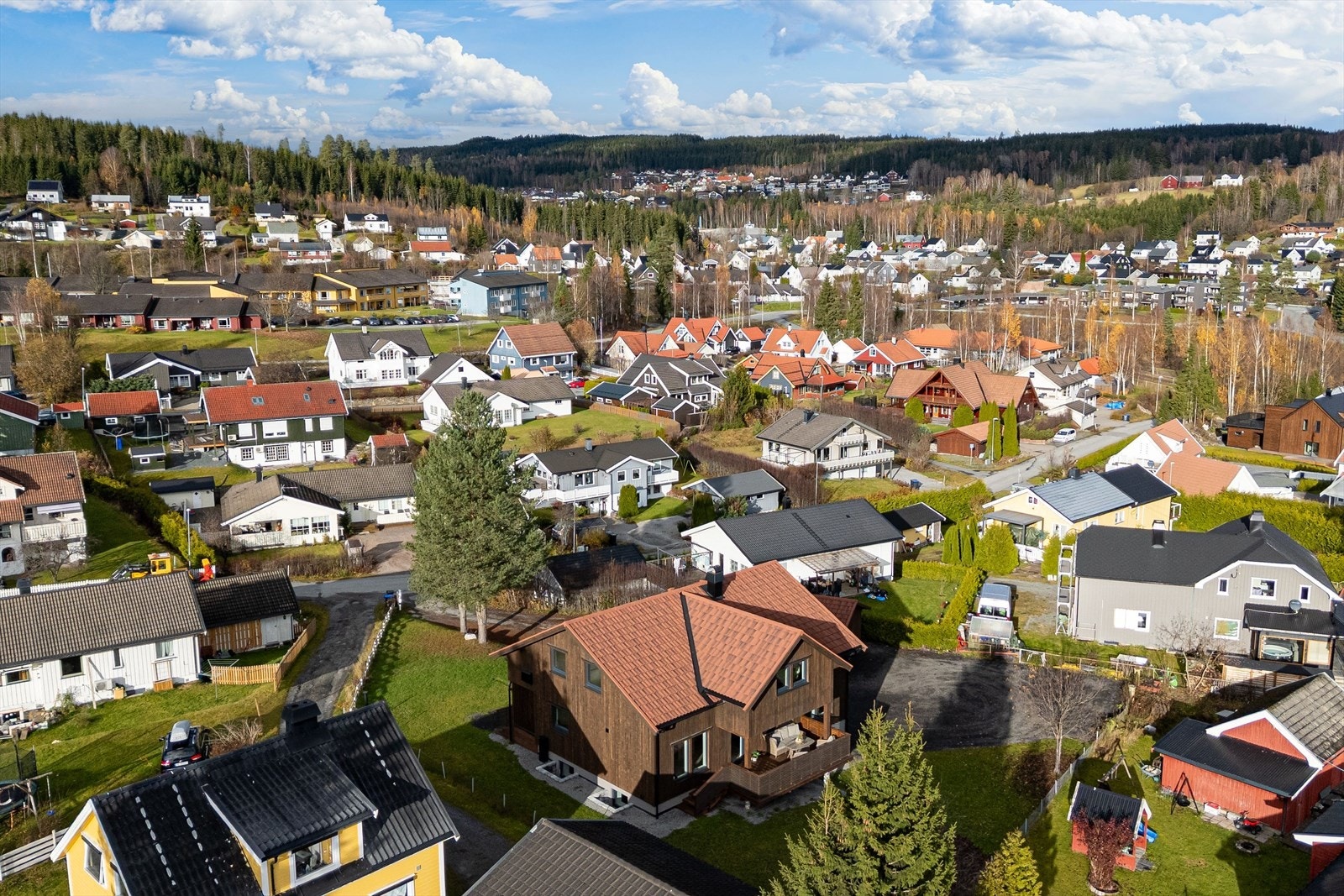 Områdebilde Galleribilde