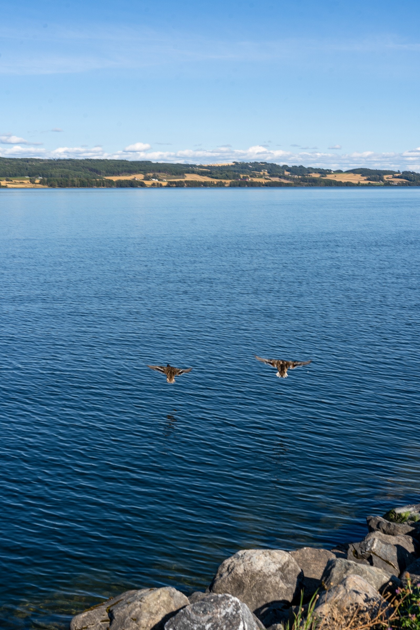 Området byr på stille gater, grønne omgivelser og kort vei til flotte turstier som inviterer til frisk luft og aktivitet hele året. Galleribilde