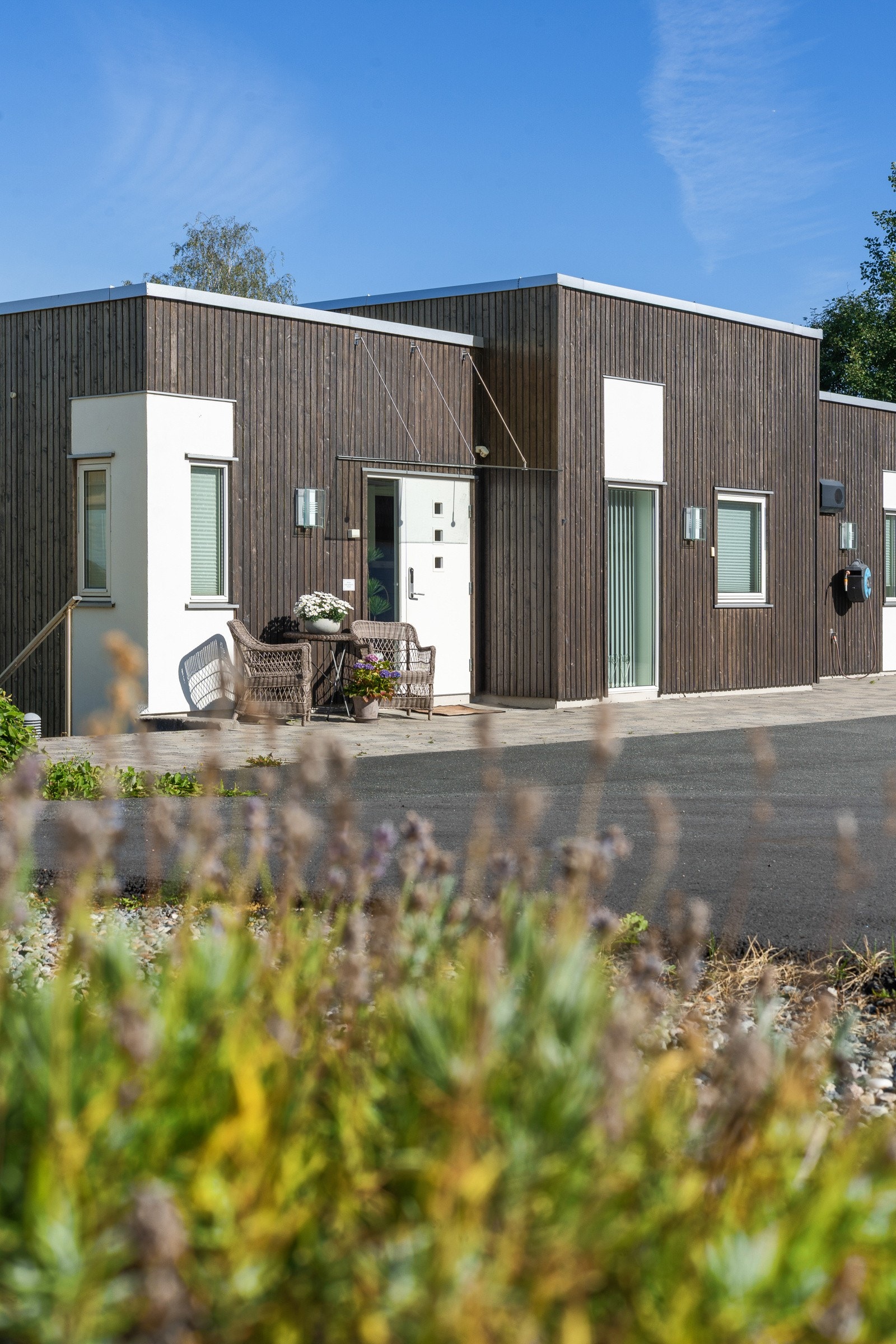 Noe for deg? Galleribilde