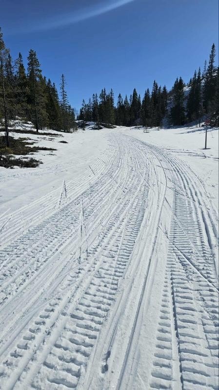 vinter 1.jpg Galleribilde