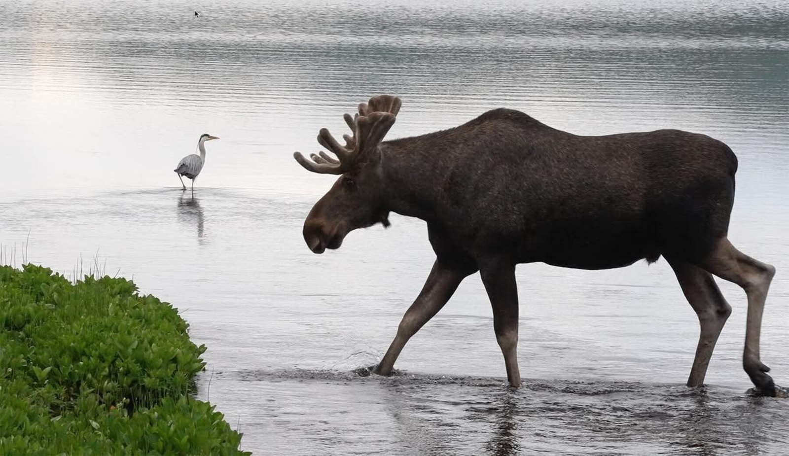Bilde fra selger.
Dette er et paradis for naturelskere og fotografer. Galleribilde