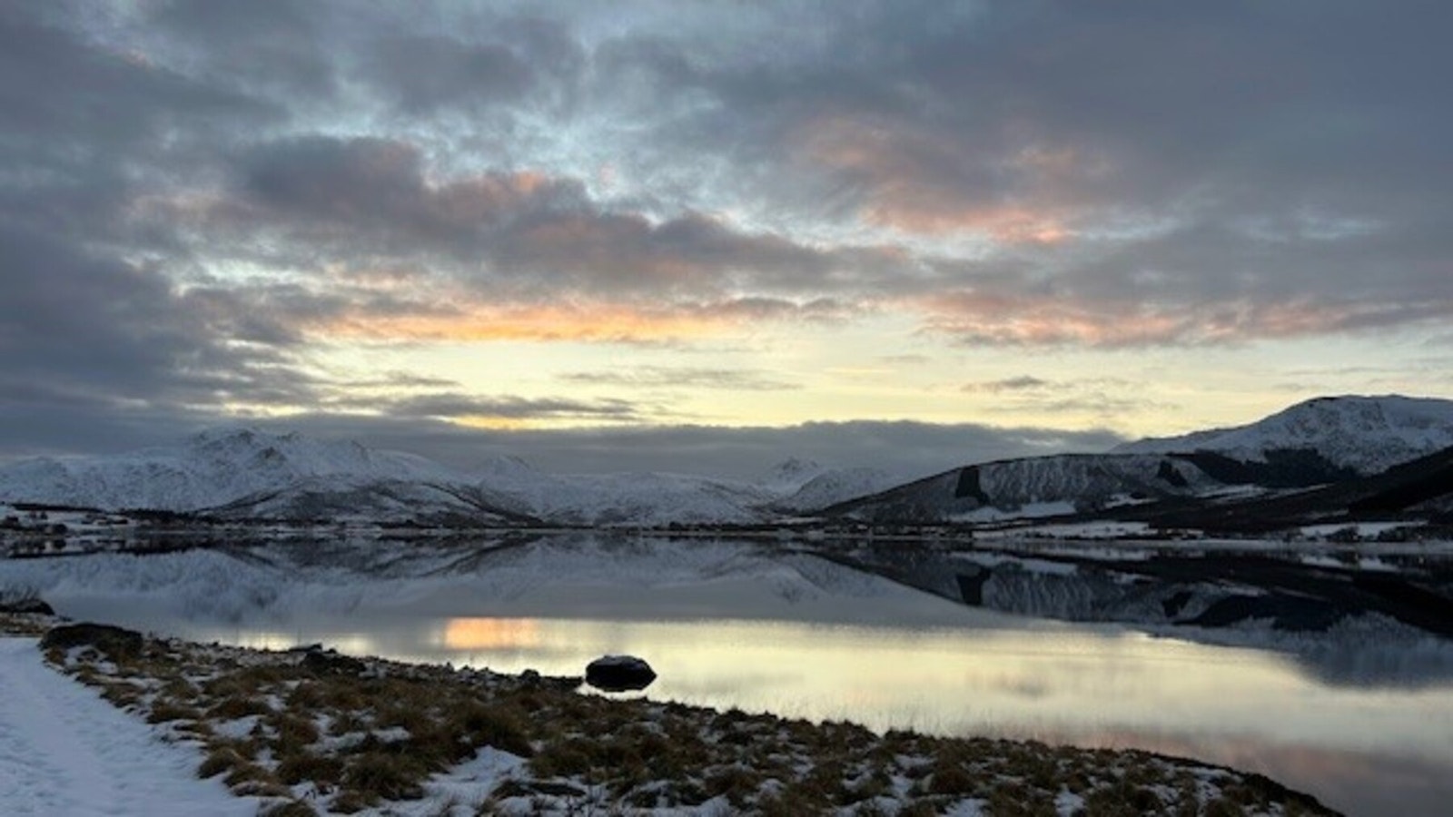 Bilde fra selger. Galleribilde