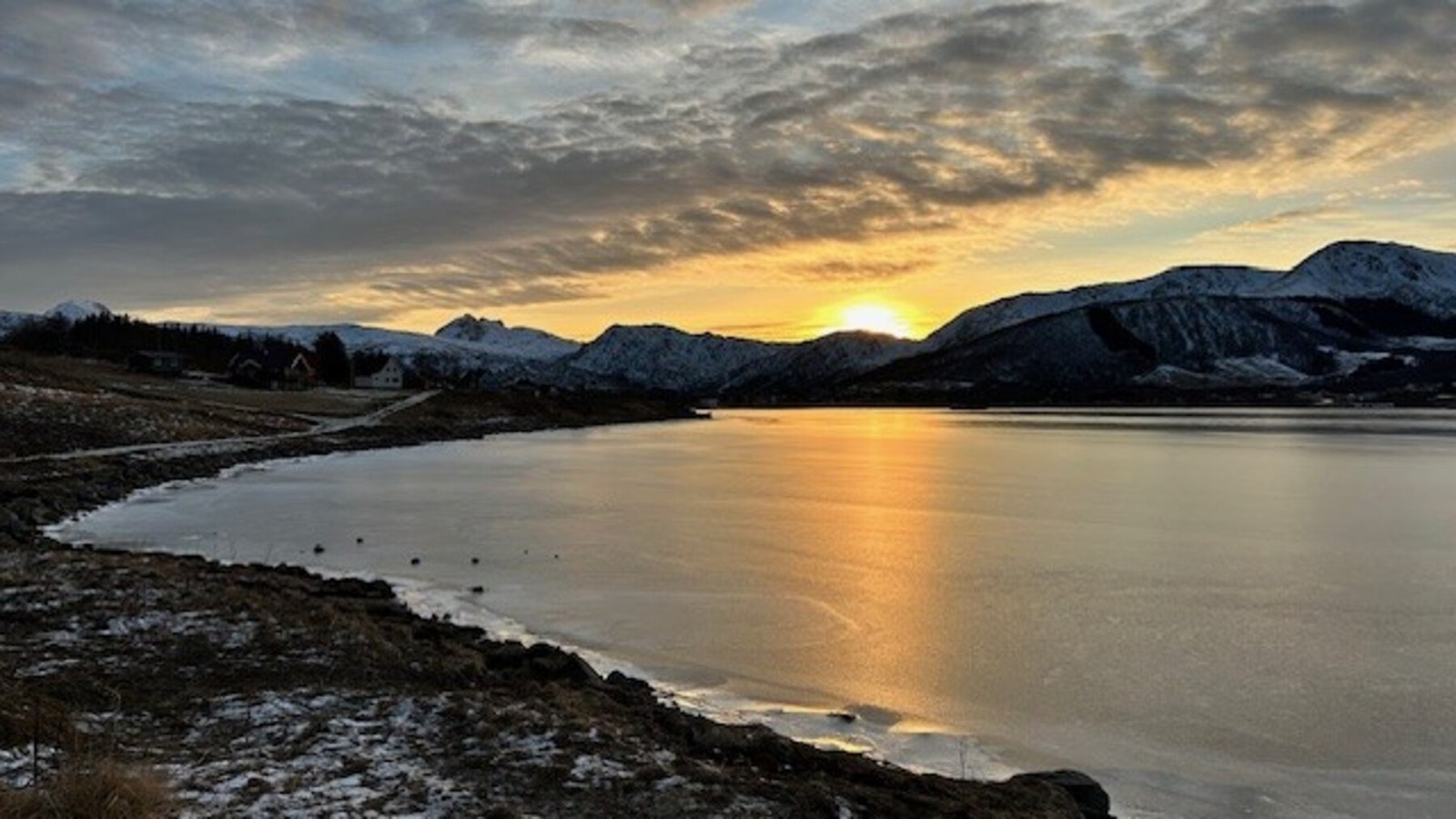 Bilde fra selger. Galleribilde