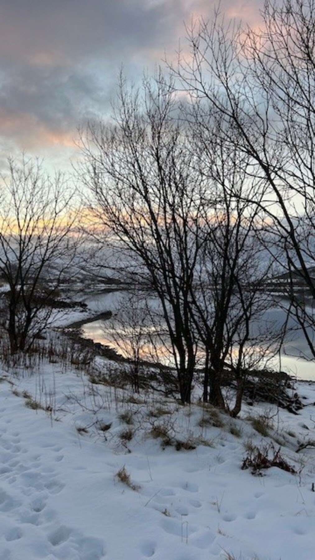 Bilde fra selger. Galleribilde