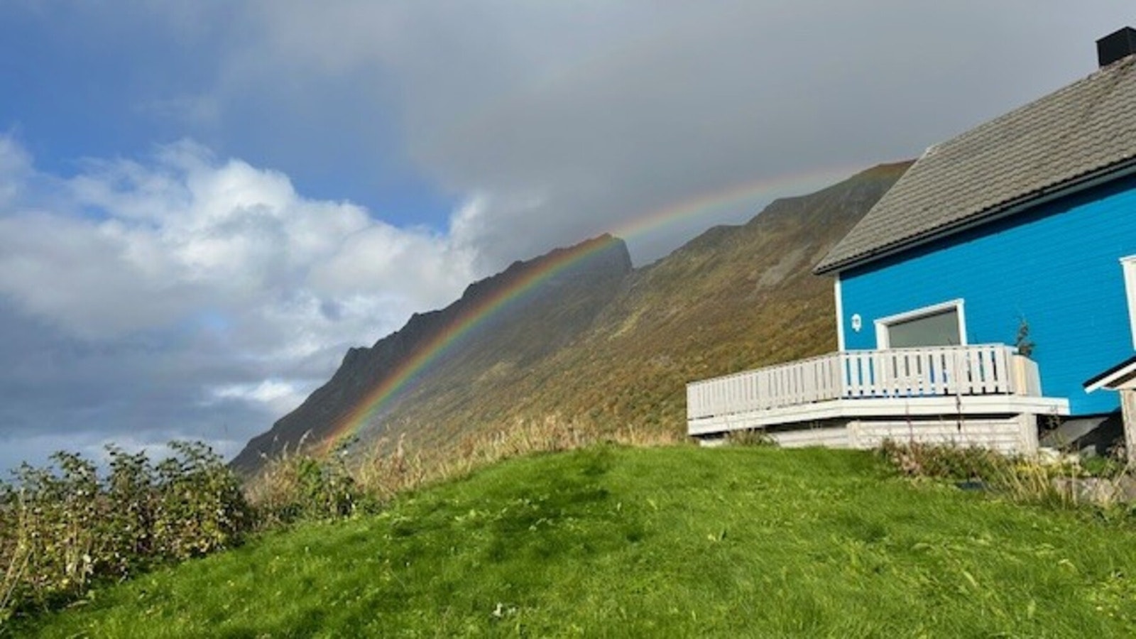 Bilde fra selger. Galleribilde