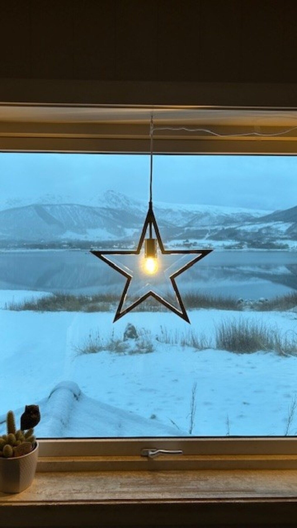 Bilde fra selger. Galleribilde