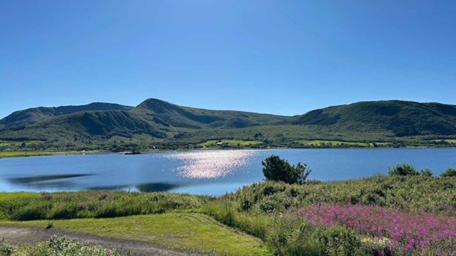 Bilde fra selger. Galleribilde