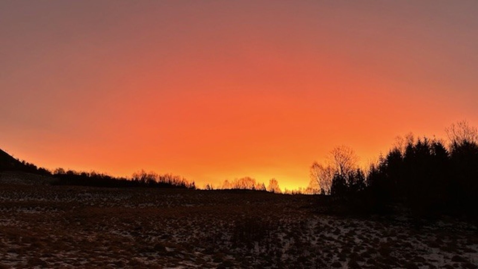 Bilde fra selger. Galleribilde