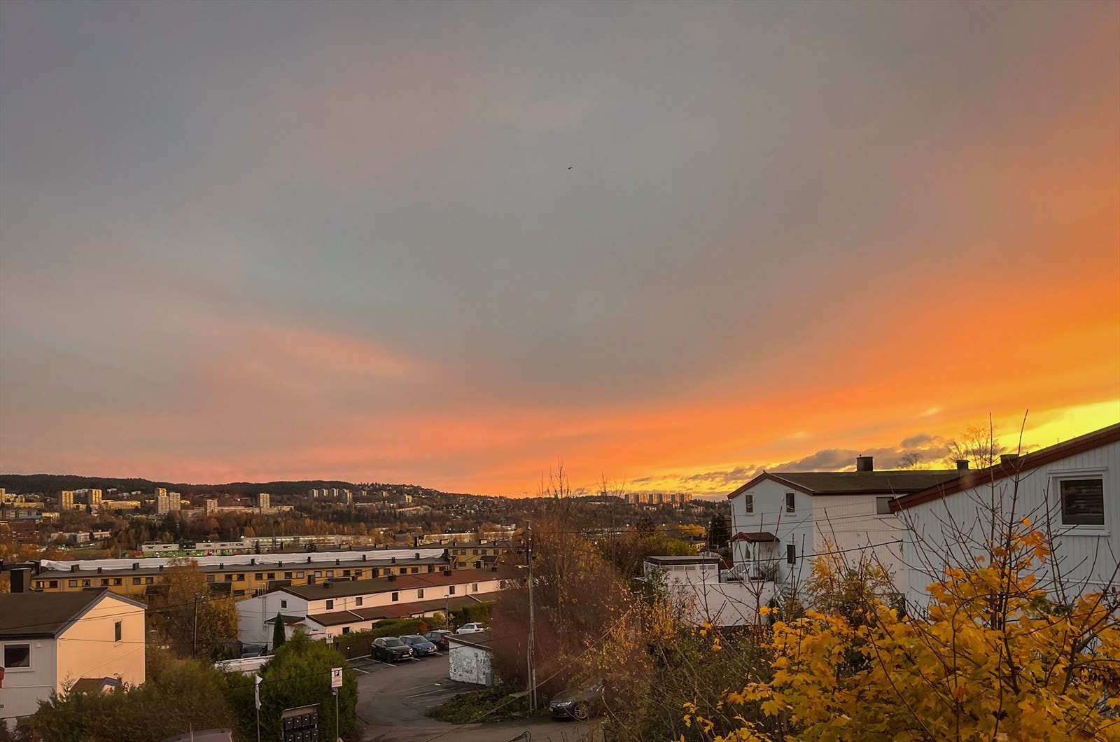 Selgers privat bilde Galleribilde