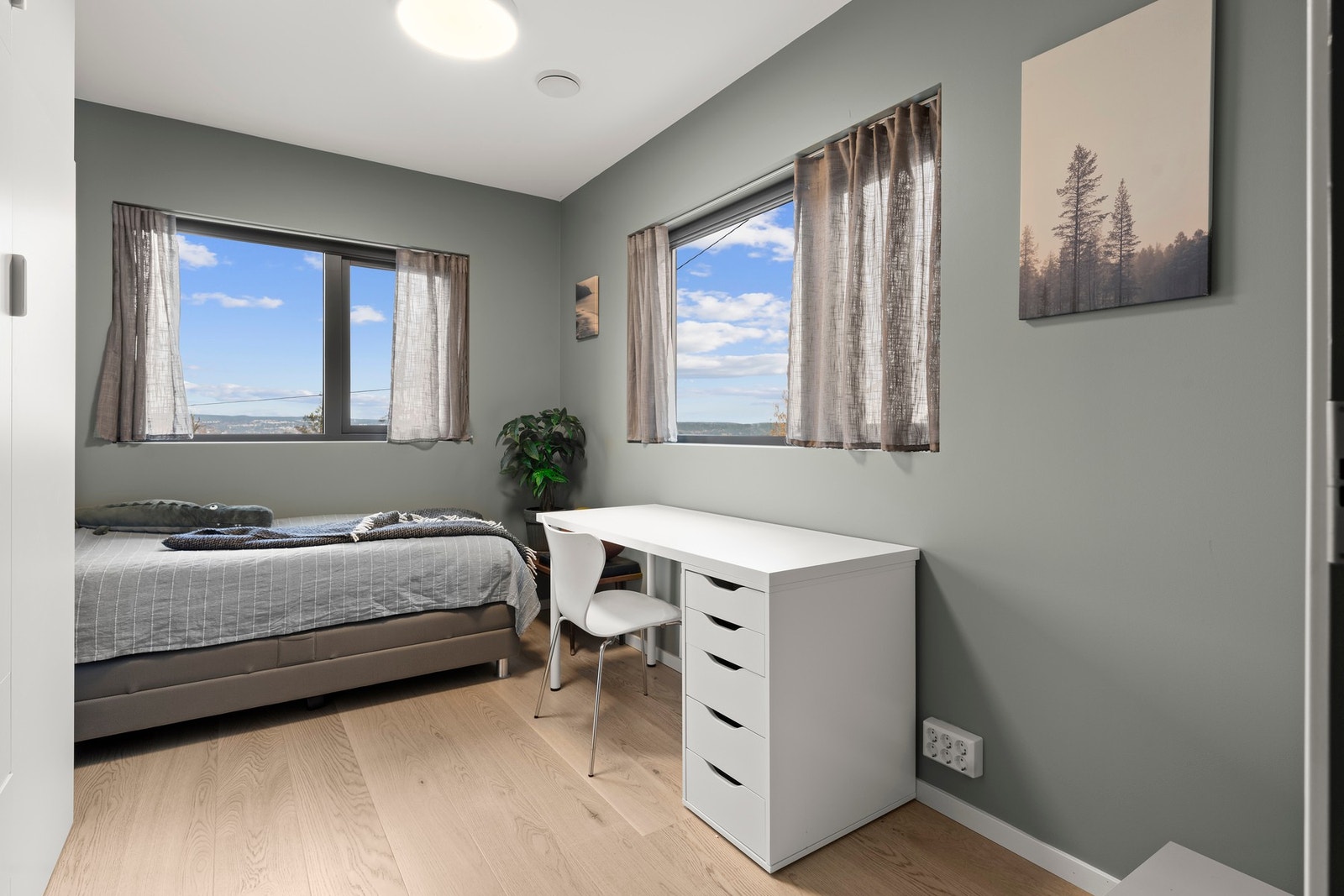 Soverommene har godt med vinduer og lys. Galleribilde