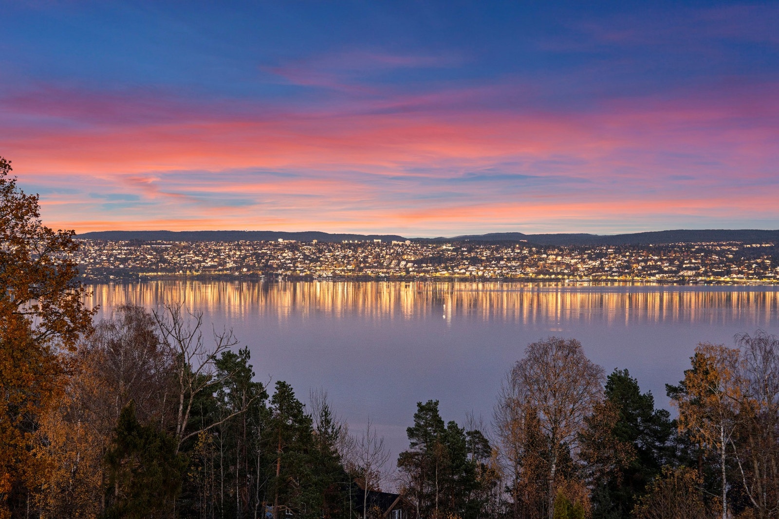 Flott utsikt over fjorden. Galleribilde