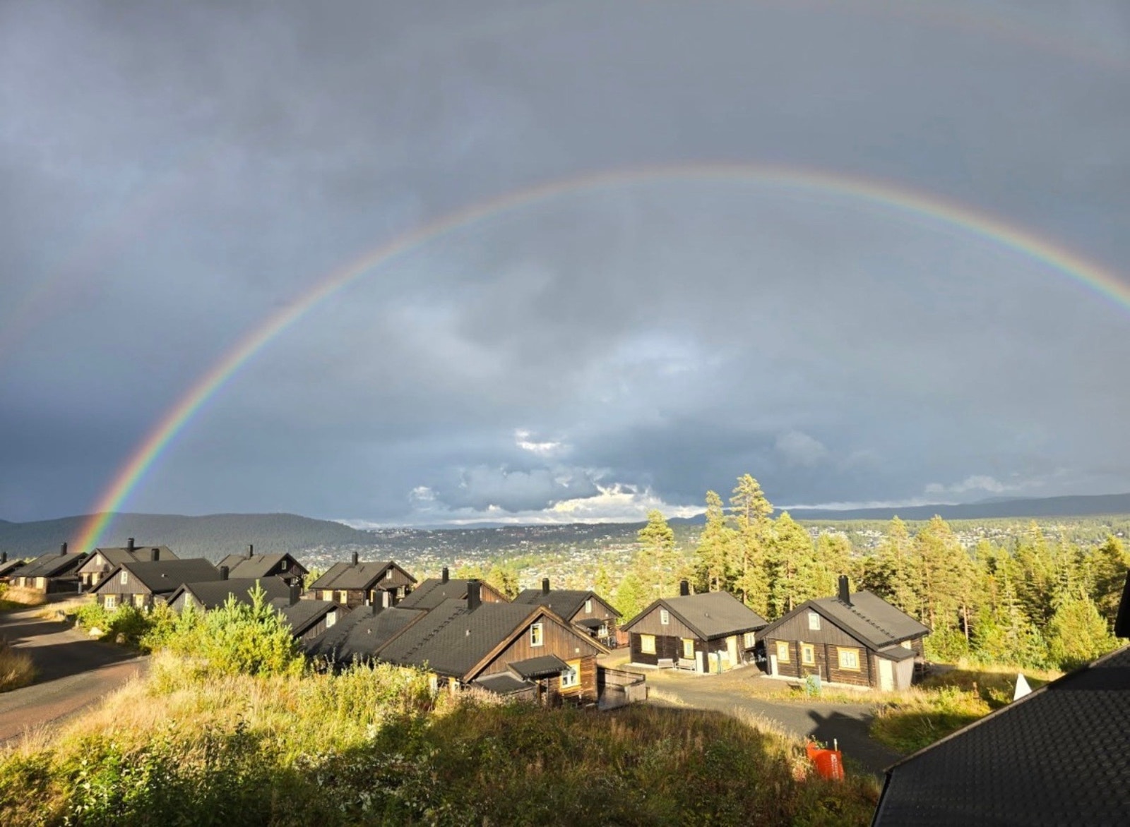 Nærområde (selgers private bilde). Galleribilde