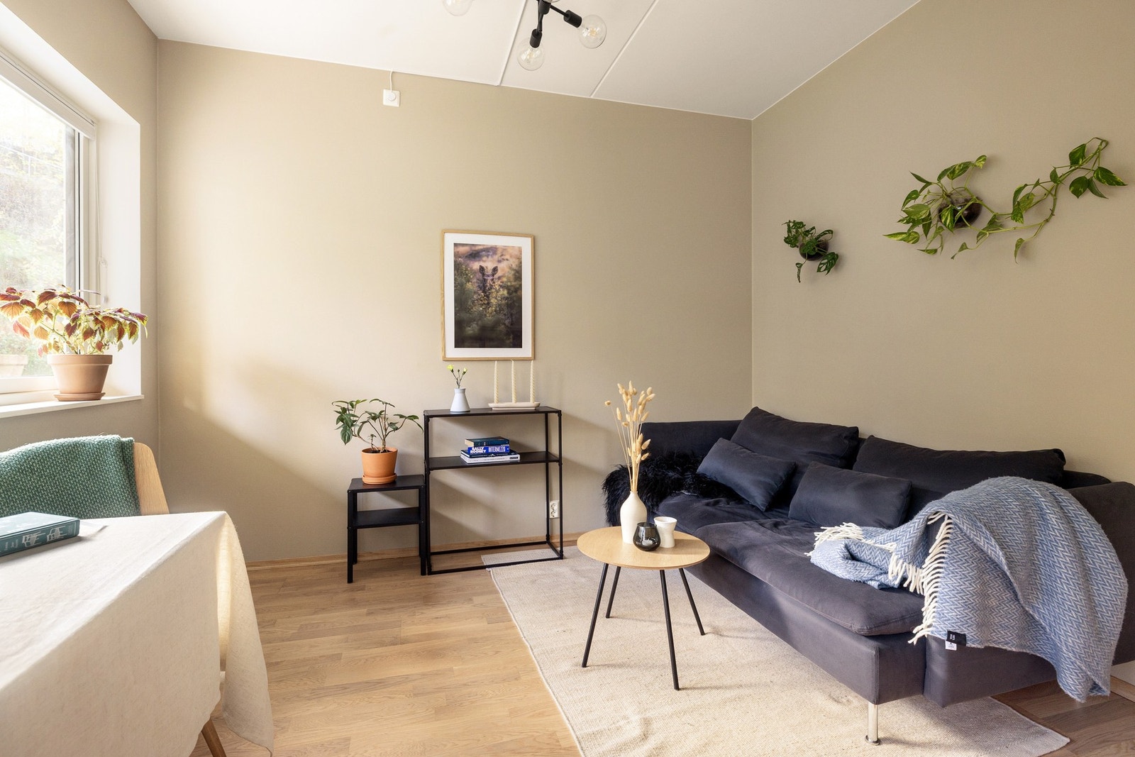 Leiligheten holder en moderne standard med pene flater og moderne farger. Galleribilde
