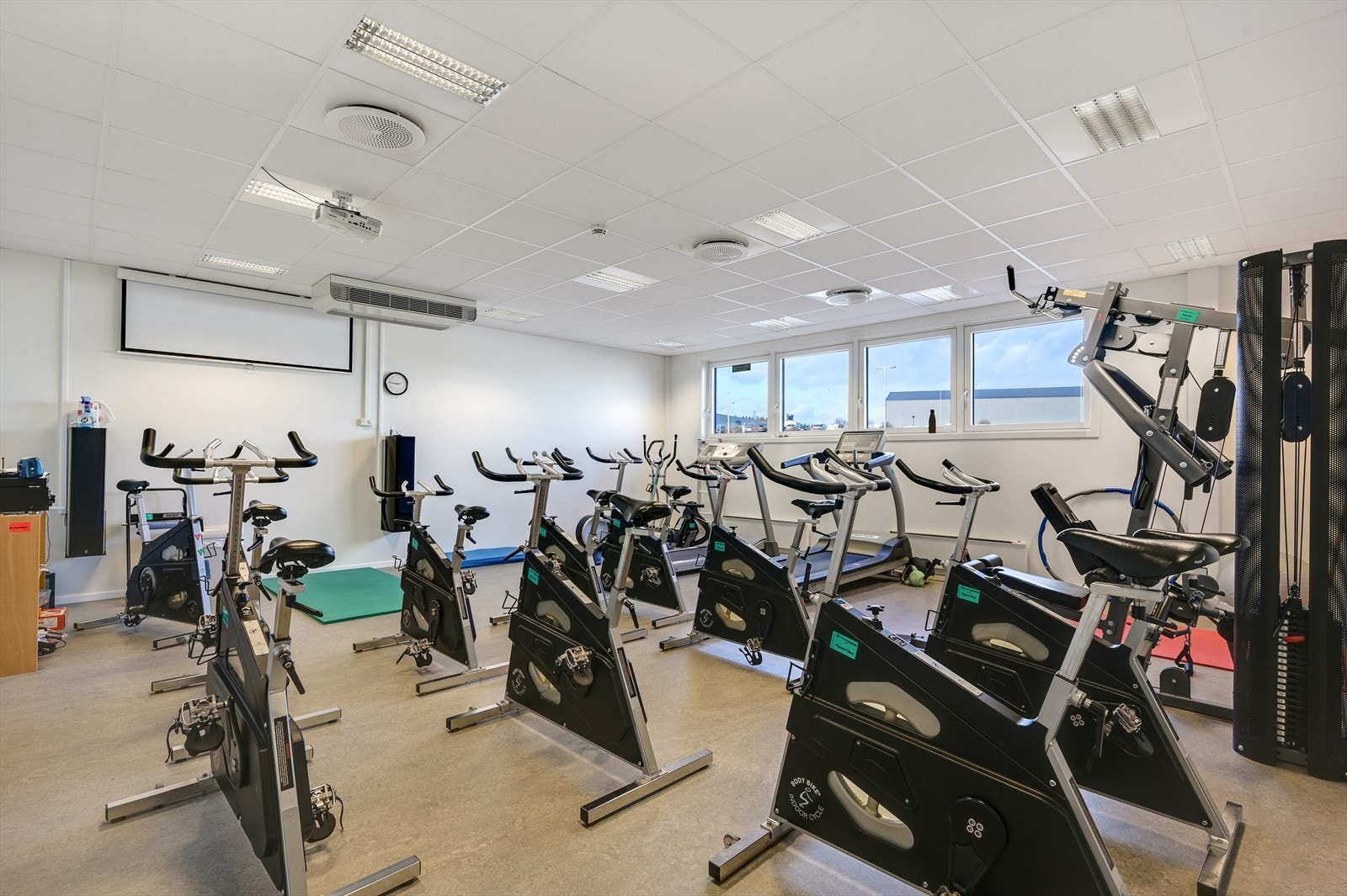 Trimrom Galleribilde