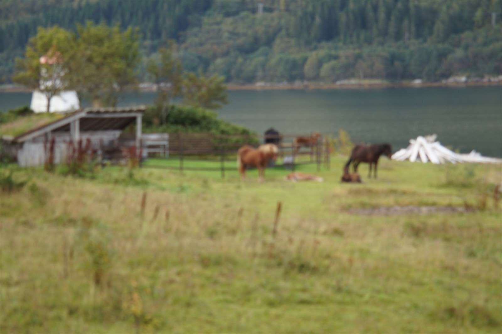 DSC06721.JPG Galleribilde