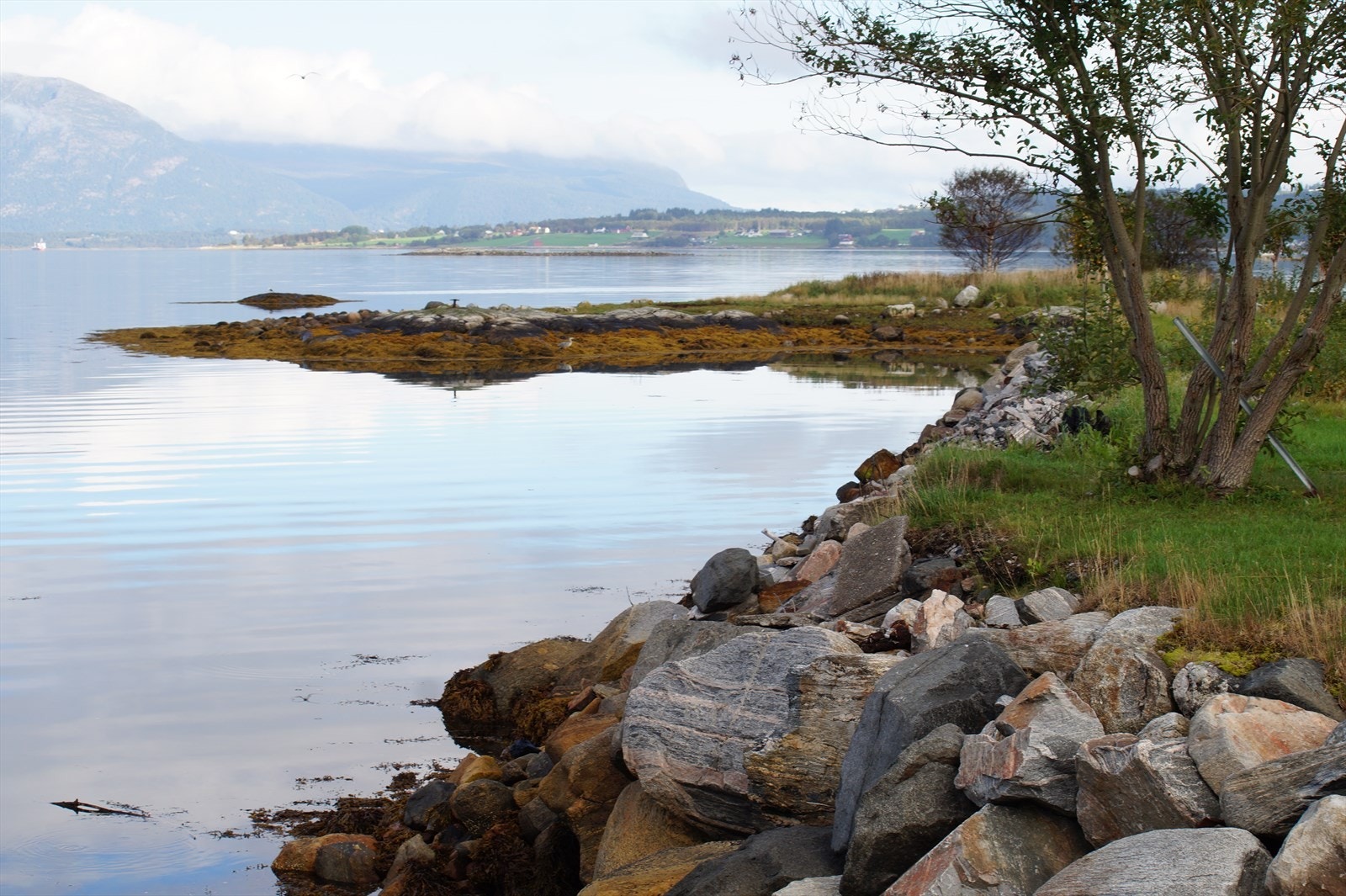 DSC06726.JPG Galleribilde