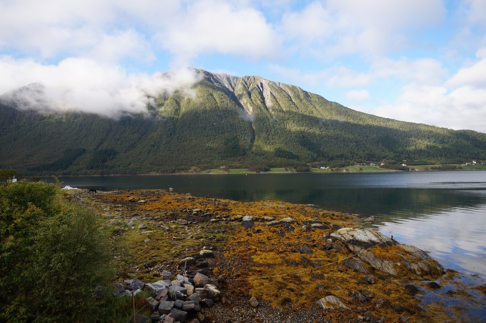 DSC06715.JPG Galleribilde