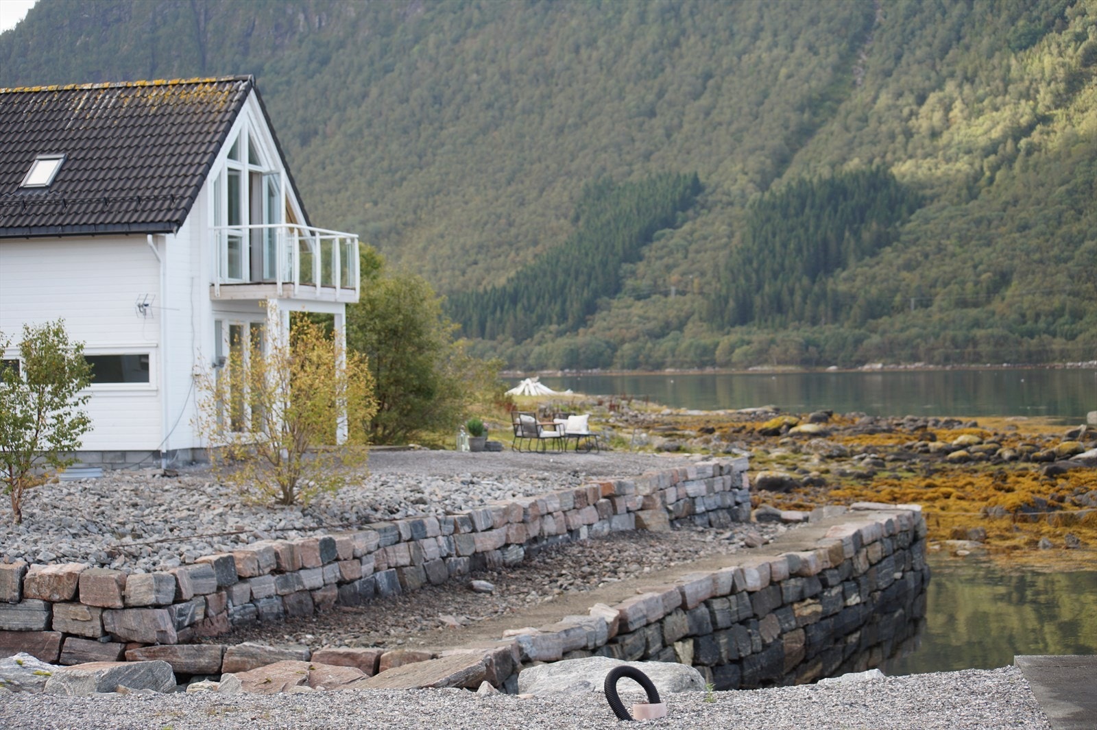 DSC06728.JPG Galleribilde