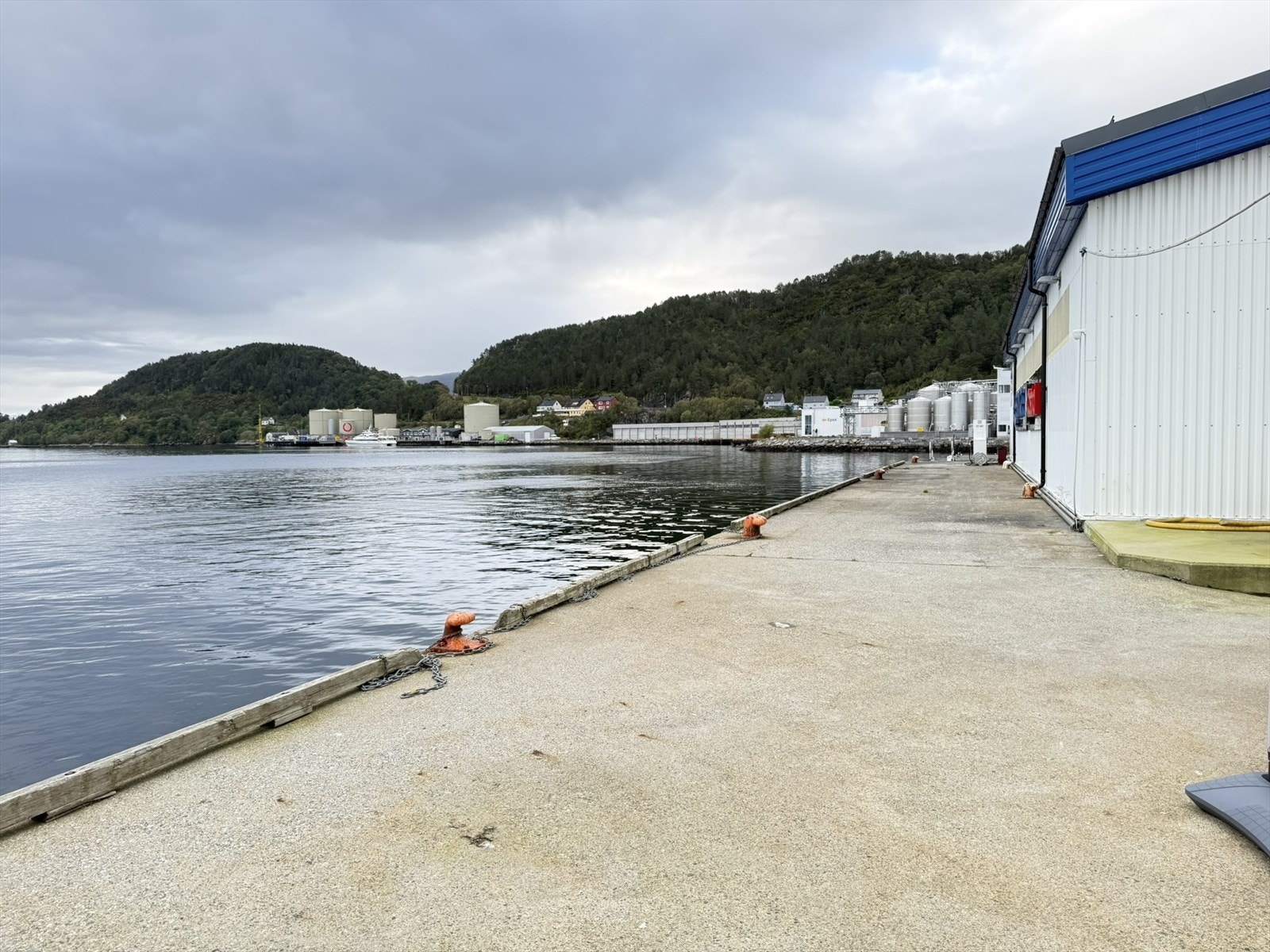 IMG_9639.JPEG Galleribilde