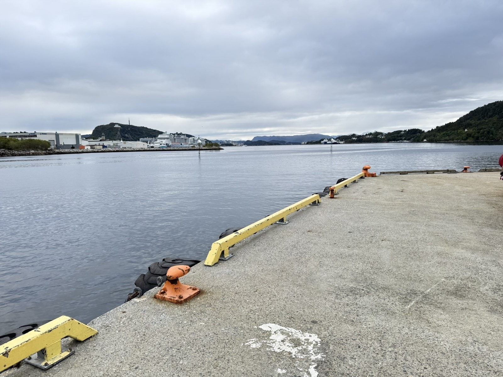 IMG_9637.JPEG Galleribilde