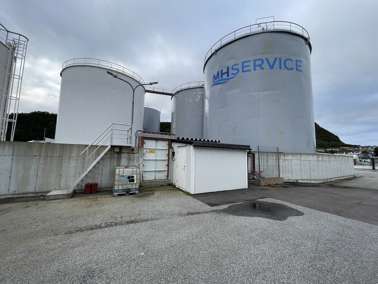 IMG_9180.JPEG Galleribilde