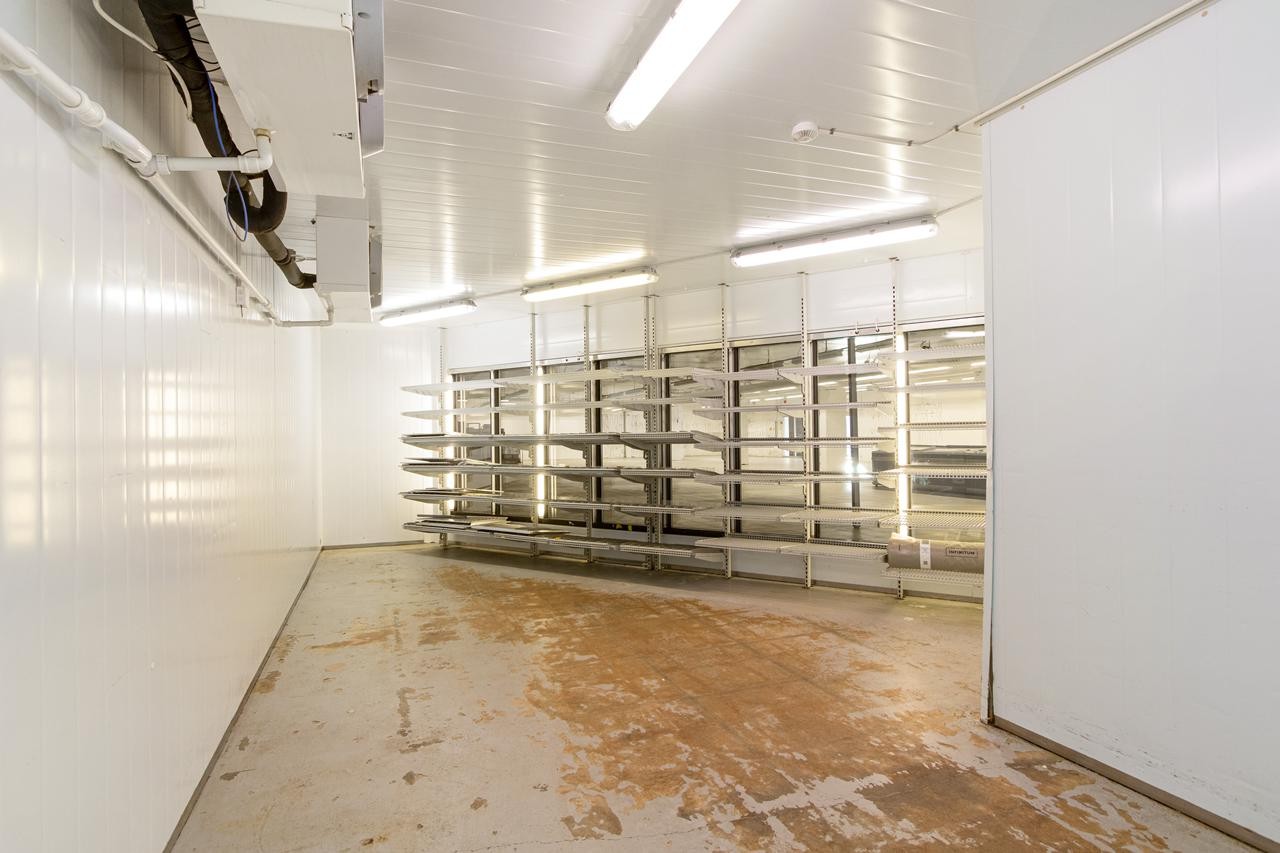 bkfoto.no_Bogata11_031 Galleribilde