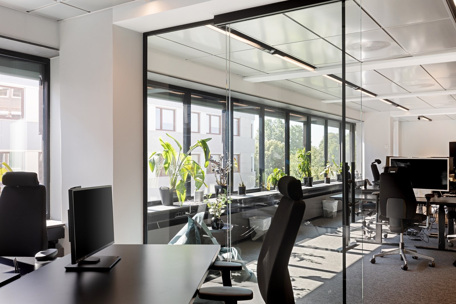 Lyse lokaler med store vindusflater Galleribilde