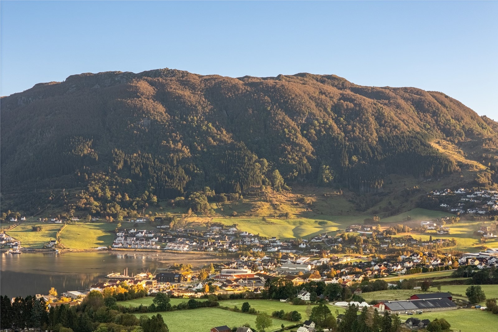 I nærområdet finnes et variert næringsliv innen industri, anlegg, transport, handel og maritim virksomhet. Galleribilde