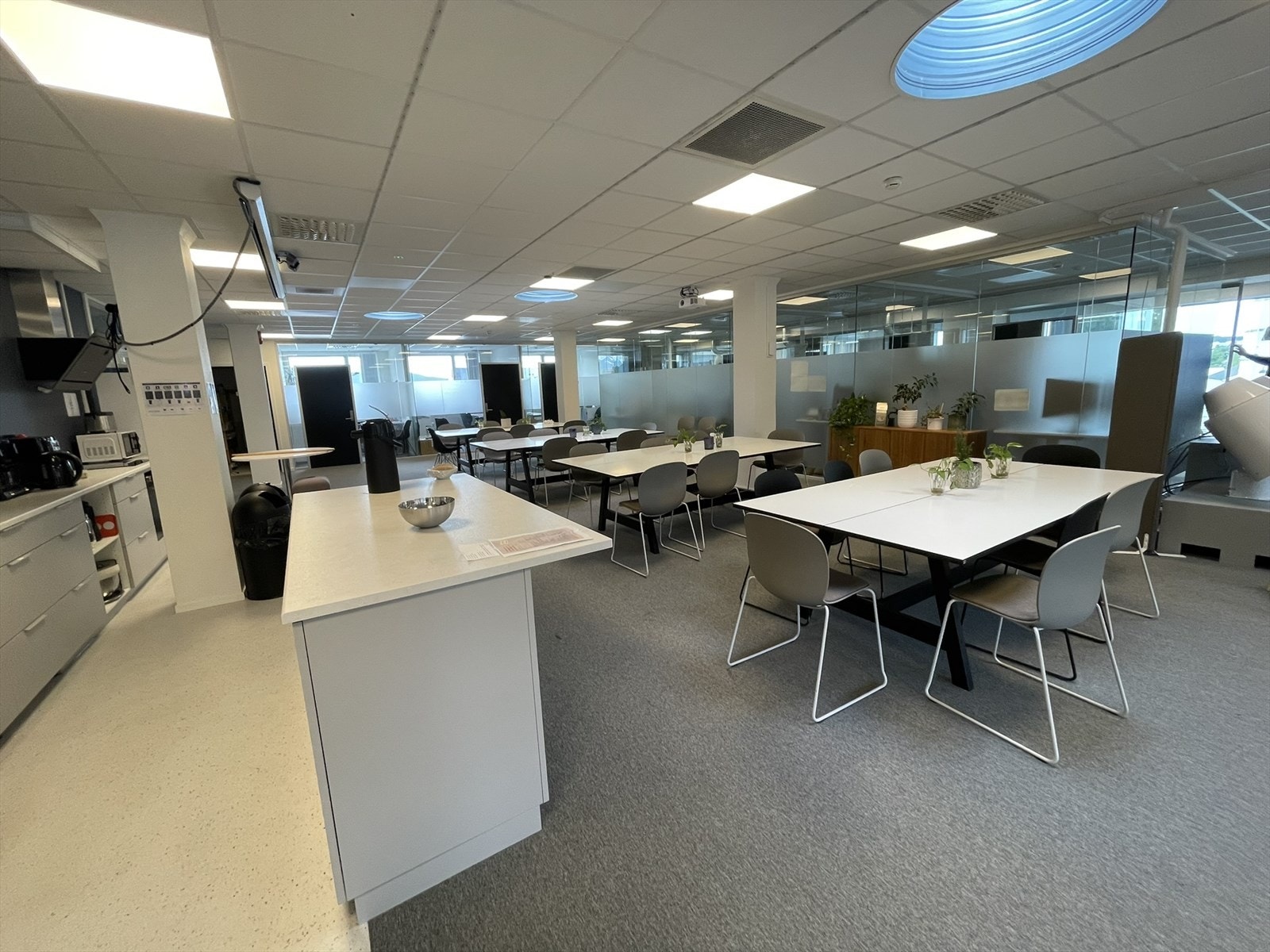 IMG_8068.JPEG Galleribilde