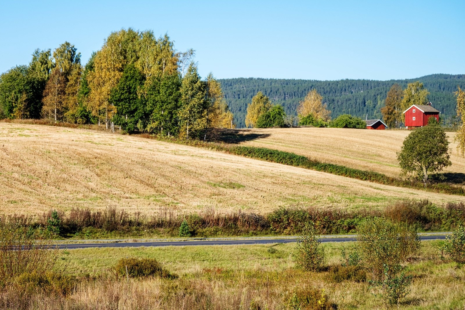 Utsikt fra kontorene Galleribilde