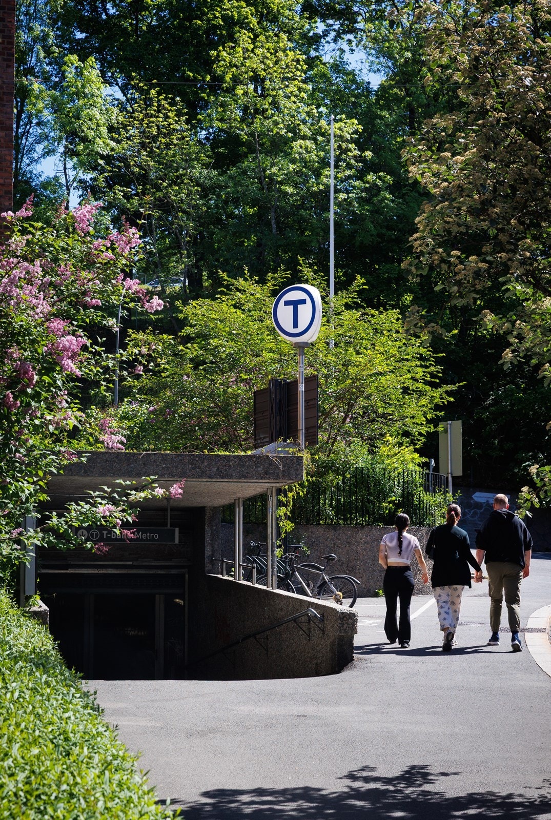 Trondheimsveien 100 019.jpg Galleribilde