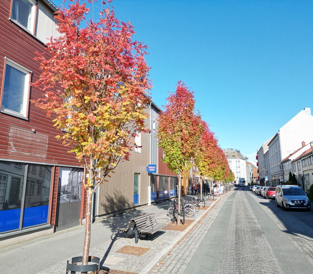 Post i butikk i nabolaget. Galleribilde