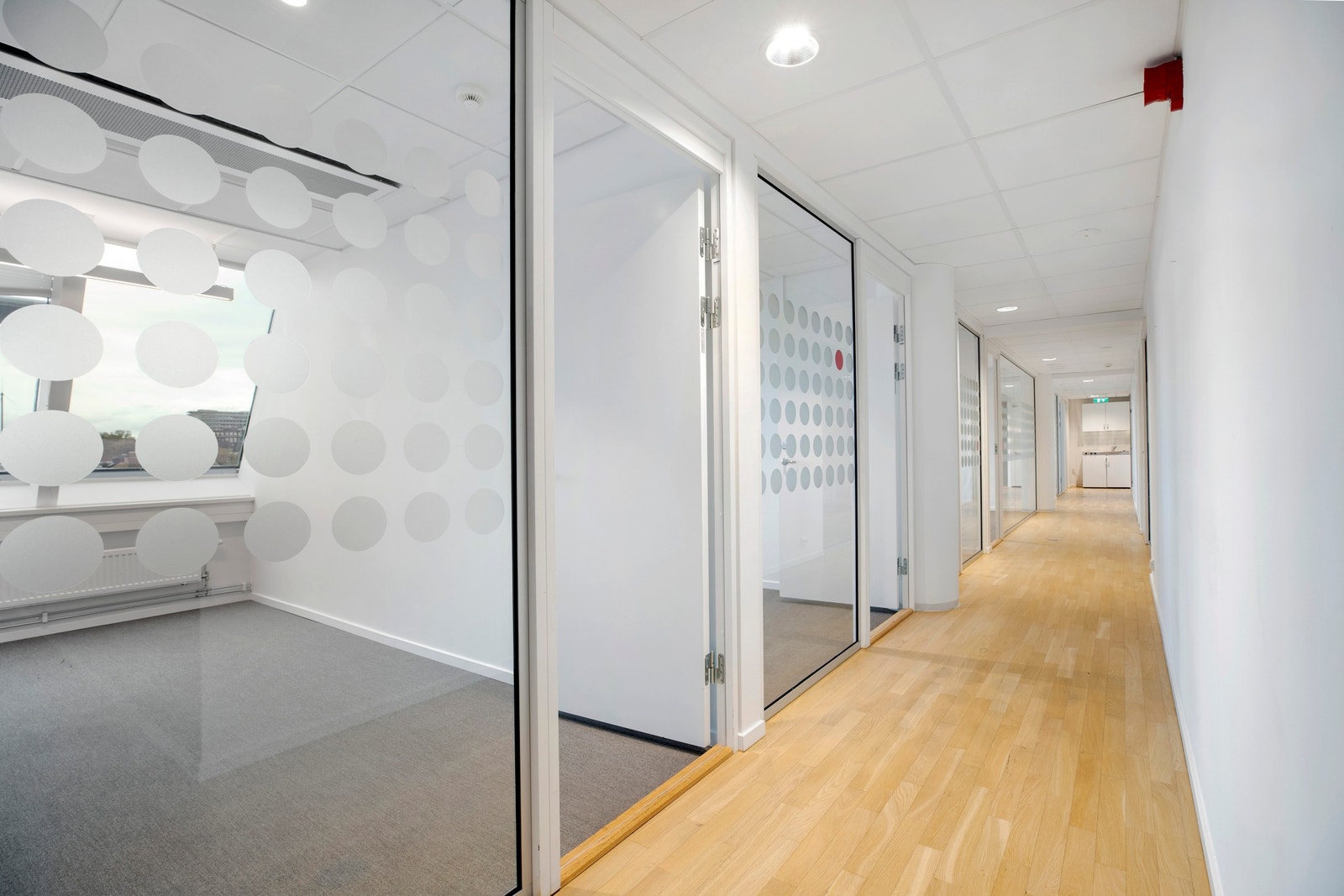 Cellekontorer i ulike størrelser Galleribilde