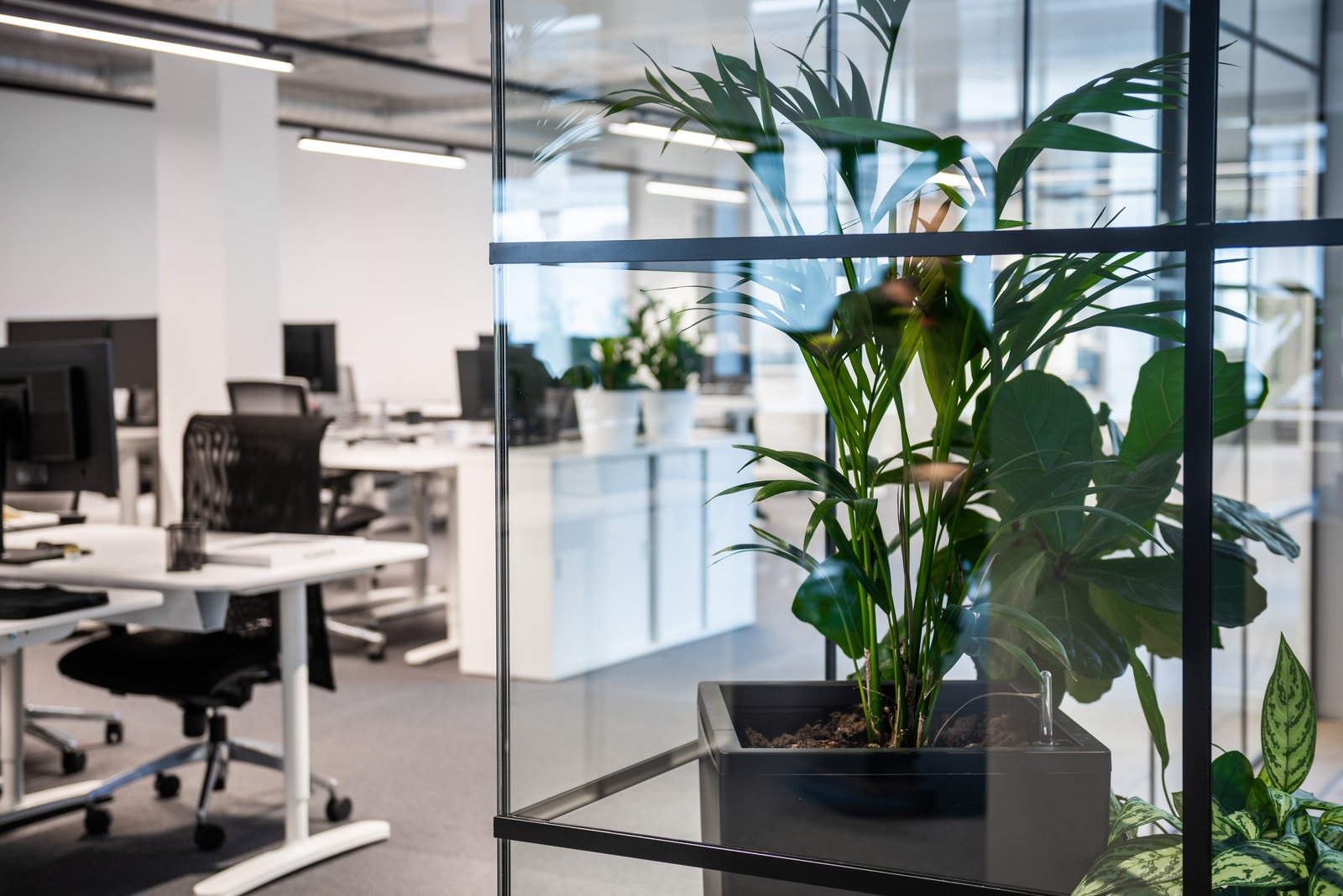 Referansebilder fra et annet lokale i samme eiendom - Det er rikelig med dagslys som skaper et behagelig og innbydende arbeidsmiljø Galleribilde