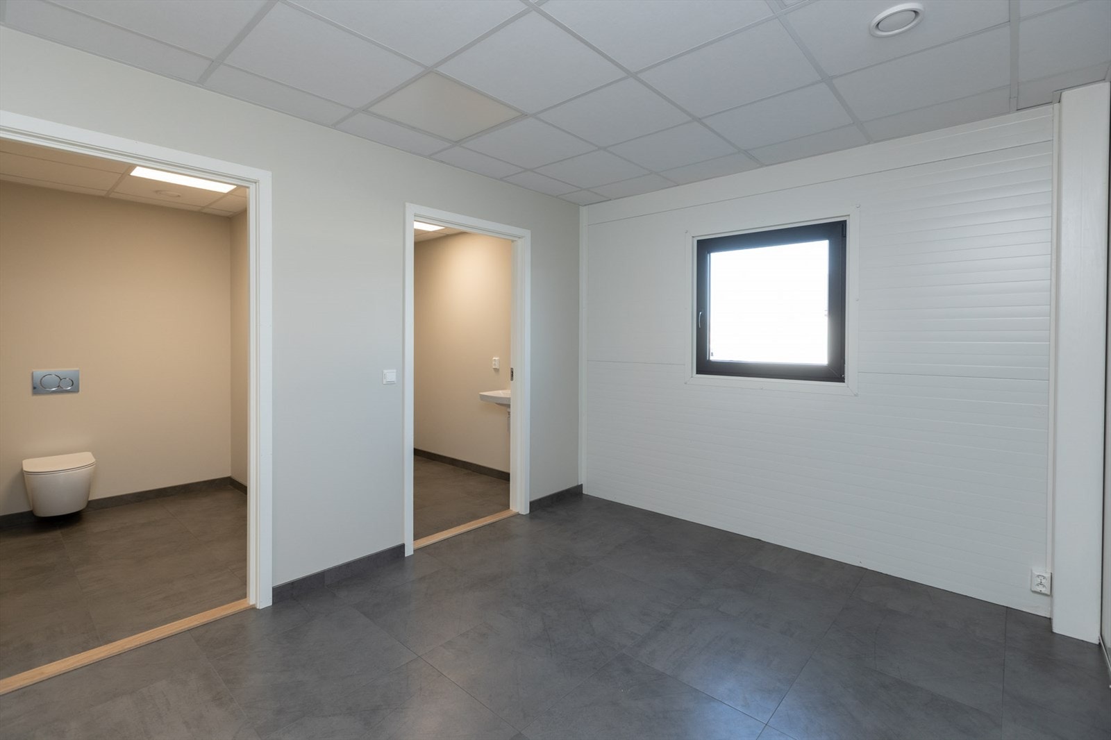 Torvstikkeren-1b Galleribilde