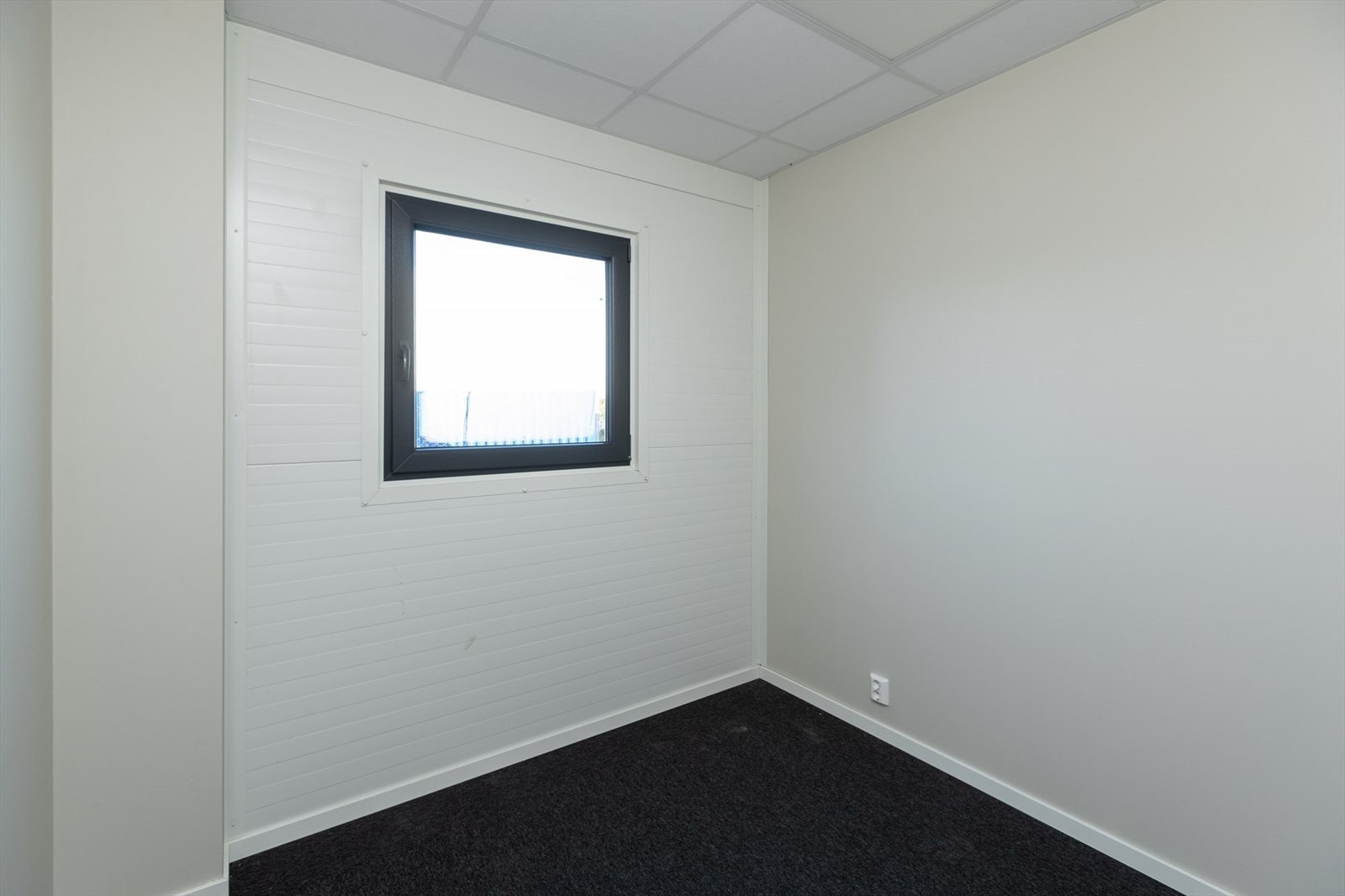 Torvstikkeren-1b Galleribilde