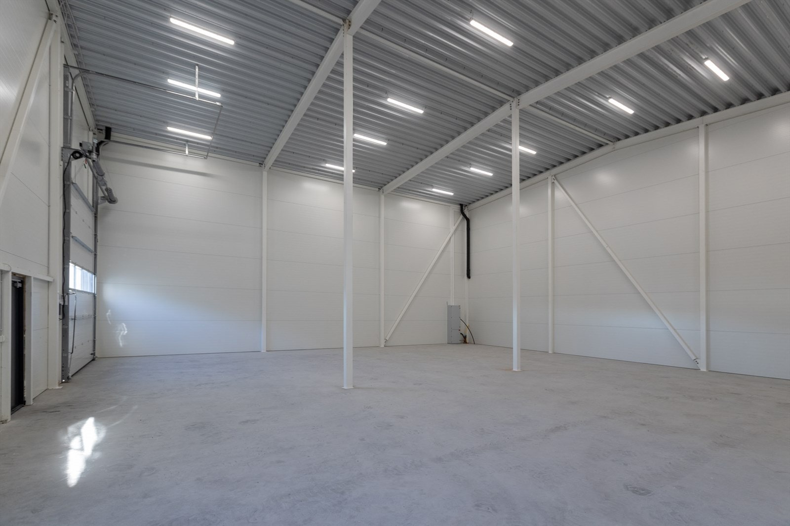 Torvstikkeren-1b Galleribilde