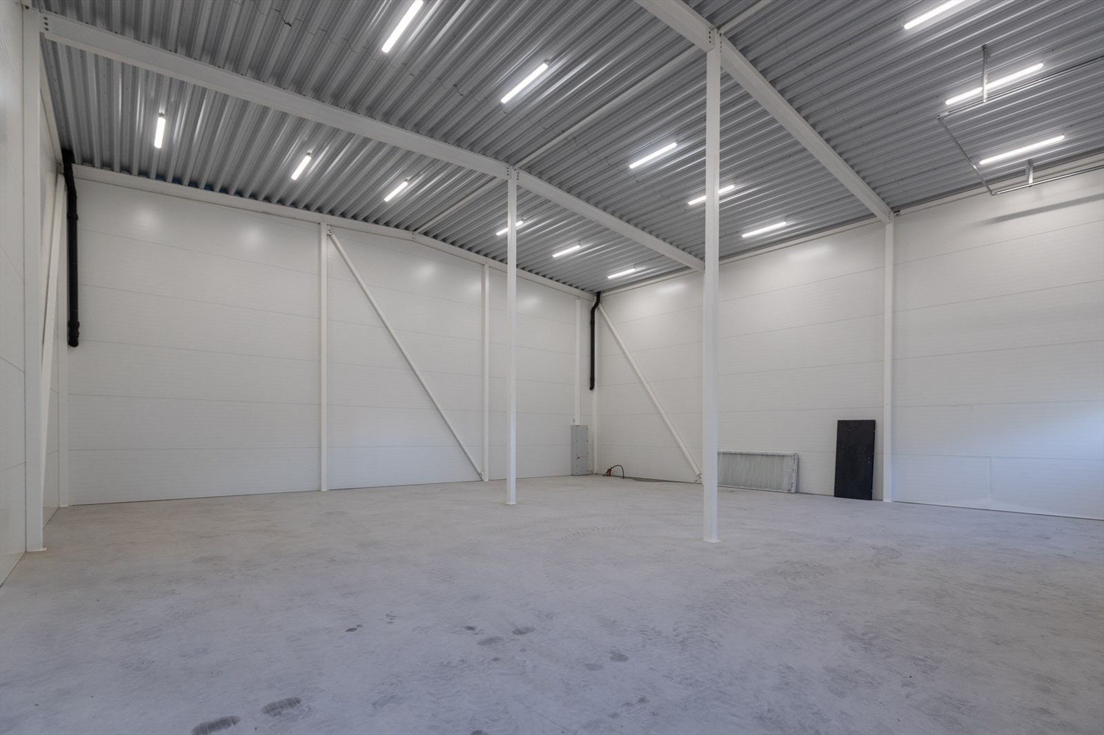 Torvstikkeren-1b Galleribilde